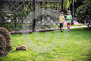 Two sweet little boy and Pennon rabbit bunnies are sitting on green grass. Friendship between humans and animals. Children and