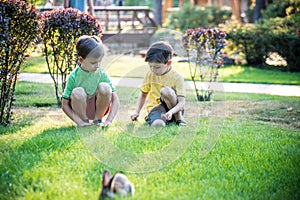 Two sweet little boy and Pennon rabbit bunnies are sitting on green grass. Friendship between humans and animals. Children and