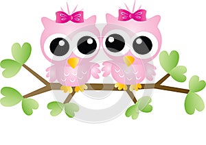 Two sweet owls sitting on a branch