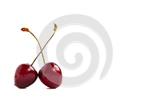 Two sweet ripe black cherries angles on white background