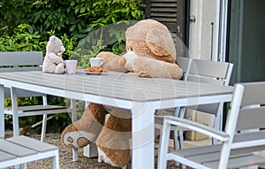 Two sweet Teddy Bears sitting at the table outdoor having tea with cookies. Friendship of opposites.