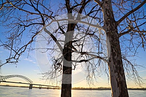 Two tall bare winter trees on the banks of the vast flowing waters of the Mississippi river at sunset with dry brush on the banks