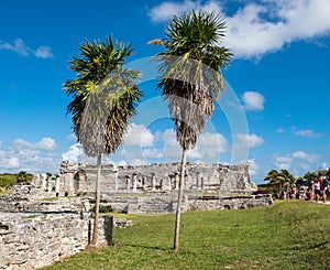 The House of Columns with two tall palm trees at ancient Mayan ruins of Tulum in Mexico