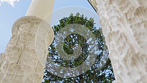 Two tall white columns and trees and sky in the background