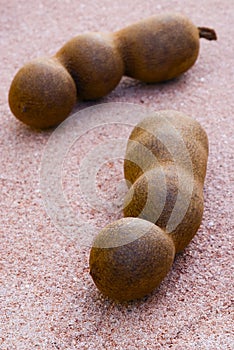 Two tamarind pods (Tamarindus indica)