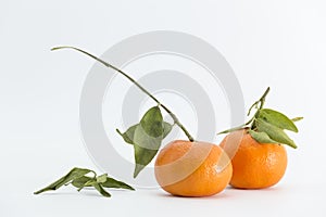 Two tangerines isolated on a white background