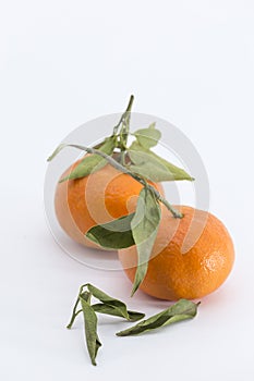 Two tangerines on white background