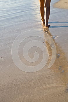 Two tanned women legs walking on sand beach