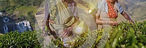 Two Tea Pickers Smile As They Pick Leaves Concept