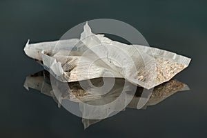 Two teabags on black background