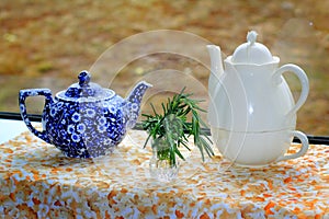 Two Teapots Still Life