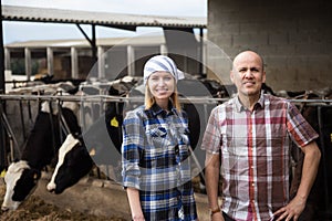 Two technicians posing near cowhouse in modern farm