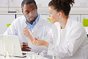 Two Technicians Working In Laboratory photo