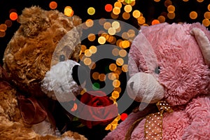 Two Teddie bear with white with red rose sitting