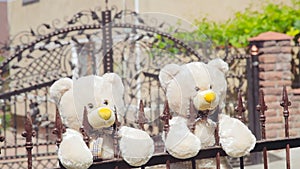 Two teddies bears on the fence in the wedding day