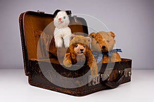 two teddies sitting inside a small vintage case