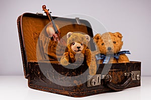 two teddies sitting inside a small vintage case