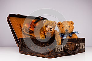 two teddies sitting inside a small vintage case