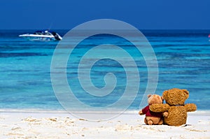 Two TEDDY BEAR brown color sitting on the beautiful beach with b