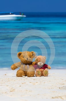 Two TEDDY BEAR brown color sitting on the beautiful beach with b