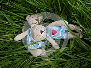Two teddy bear on the grass