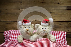 Two teddy bears on christmas eve: idea for a funny greeting card