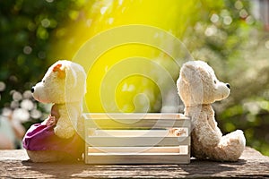 Two teddy bears feeling heartbroken sitting opposite a wooden box in the middle.