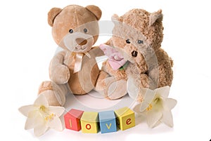 Two Teddy bears in love