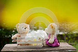 Two teddy bears in love sitting on wooden box and wood. And whit