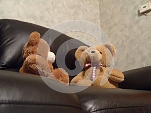 Two teddy bears sitting on couch debating
