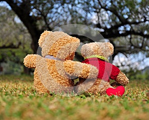 Two teddy bears sitting in the garden with love.