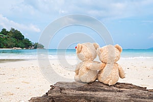 Two teddy bears sitting on the timber with sea view. Love and re