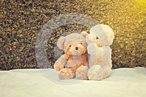 Two teddy bears sitting on white fabric.