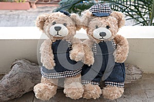 Two teddy bears on wood background