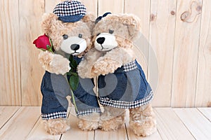 Two teddy bears on wood background