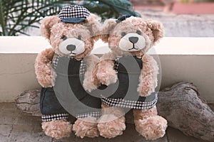 Two teddy bears on wood background