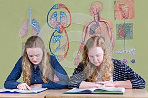 Two teenage girls reading text books with biology wall chart