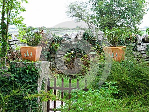 Two terra-cotta pots on garden door