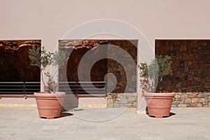 Two terracotta pots with olive trees on terrace of stone mediter