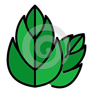 Two three segmented leaves icon color outline vector