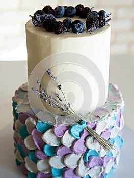 Two-tier cream cake in blue-gray-lilac colors, decorated with blueberries and sprigs of lavender on black stand. Wedding