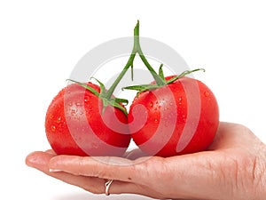 Two tomato in hand isolated on white background