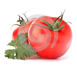 Two tomato vegetables and parsley leaves still life