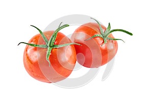 Two resh tomatoes isolated on white background. Background of organic food