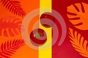 two tomatoes on a red-orange background with peppery jungle leaves, creative tropical design, healthy food