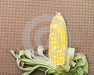 Two tone of sweet Corn on brown wickerwork