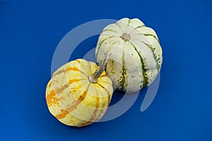 Two-toned speckled round ornamental pumpkins