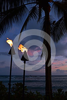 Two tropical torches