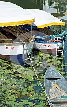 Two tourist boats on Lake Shkodra, Montenegro