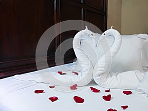 two towel swans shaped on the bed.